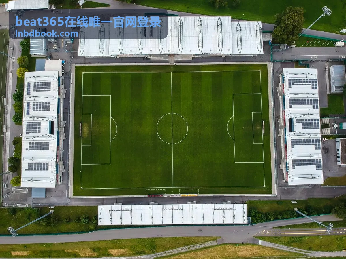 登录指引中的自查顺序示意图